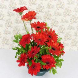 Basket Arrangement - Red Gerberas Basket