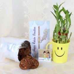 Rakhi with Cookies - Choco-chip Cookies with Rakhi and Good Luck Wishes