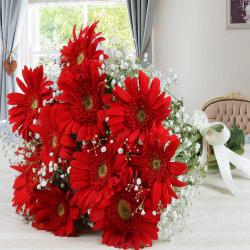 Baby Shower Gifts for Girl - Pretty Red Gerberas Bouquet