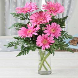 Valentine Flowers Arrangement - Valentines Special Vase of Six Pink Gerberas