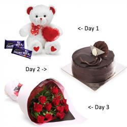 Valentine Serenades Gifts - 3 Days Surprises for My Valentine