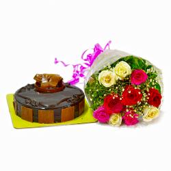 Flowers and Cake for Him - Multi Color 10 Roses Bunch with Chocolate Cake