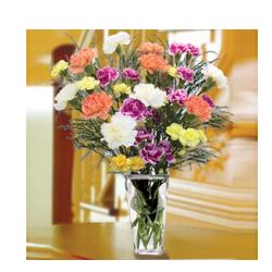 Vase Arrangement - Vase of colorful Carnations