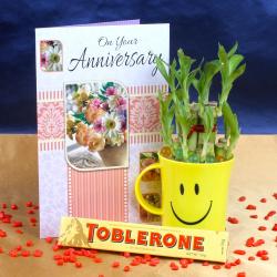 Anniversary Gifts for Elderly Couples - Good Luck Plant,Anniversary Card and Chocolates