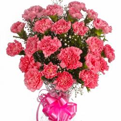 Anniversary Gifts for Sister - Two Dozen Pink Carnations Bouquet