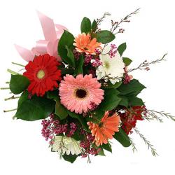 Gerberas - Mix Gerberas Bunch