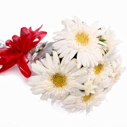 Gifts for Colleague - Fresh 6 White Gerberas Hand Tied Bunch