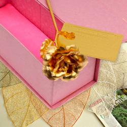 Send Gold Plated Single Rose with Gift Box To Bhubaneshwar