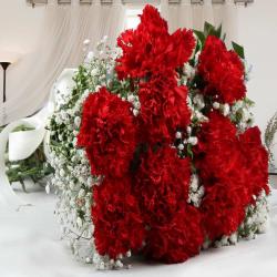 House Warming Gifts for Couple - Hand Bouquet of Red Carnations