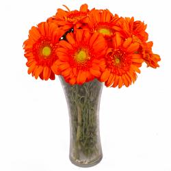 House Warming Gifts for Women - Vase of 10 Orange Color Gerberas