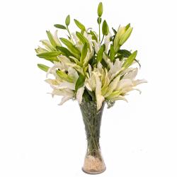 Condolence Flowers - Ten White Lilies arranged in a Classical Glass Vase