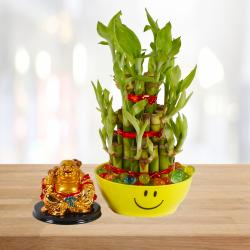 House Warming Gifts - Laughing Buddha with Good Luck Bamboo Plant in a Smiley Bowl