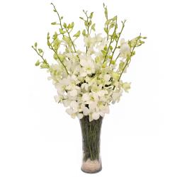 Orchids - Glass Vase of 10 Exotic White Orchids