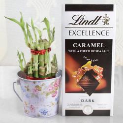 Rakhi Gifts For Sister - Lindt Chocolates with Good Luck Plant