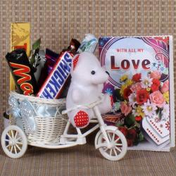 Send Valentines Day Gift Cycle Basket of Teddy with Chocolate To Hyderabad