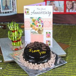 Send Chocolate Cake and Good Luck Plant with Anniversary Greeting Card To Bombay