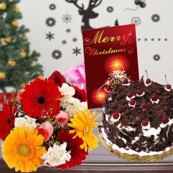 Send Christmas Gift Mix Flowers Bouquet with Black Forest Cake and Merry Christmas Card To Mumbai