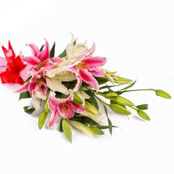 Gifts for Daughter - Dozen Mix White and Pink Lilies in Tissue Wrapped