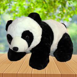 Birthday Soft Toys - Cute Teddy Panda