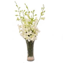 Condolence Gifts for Coworkers - Glass Vase of 6 Stem White Orchids