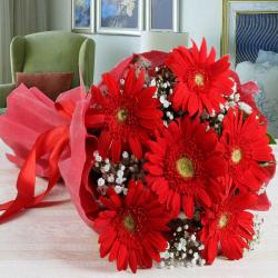 Retirement Gifts for Boss - Bouquet of Red Gerberas in Tissue
