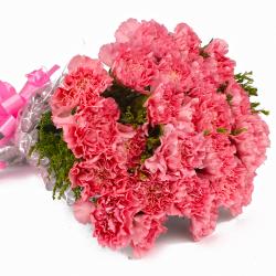 Send Fuffly Pink Carnation Bouquet To Ferozepur