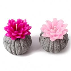 Home Decor Gifts Online - Two Candles in Pottery Container