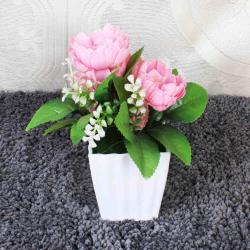 Anniversary Home Decor - Small and Cute Artificial Bonsai Plant
