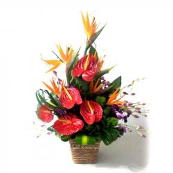 Valentine Exotic Flower Arrangements - Basket of Exotic Flowers For Love