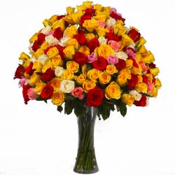 Send Multi Color 100 Roses Arranged in a Vase To Noida