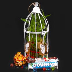 Feng Shui Gifts - Hamper of Butterfly Bird Cage with Laughing Buddha included Chocolates and Good Luck Plant