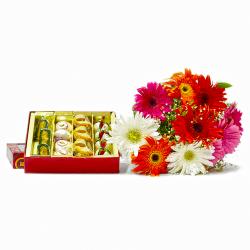 Send Bouquet of Colorful Gerberas with Box of Assorted Sweets To Gurgaon