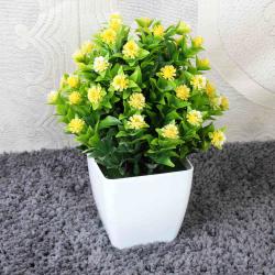 House Warming Gifts for New Home - Beautiful Artificial Bonsai Plant