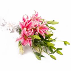 House Warming Gifts for Couple - Five Pink Lilies Hand Bunch with Cellophane Packing