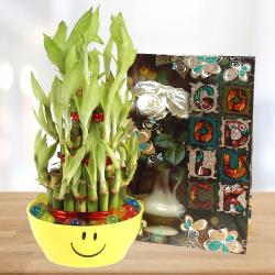 Bhai Dooj Return Gifts for Sister - Good Luck Card and Good Luck Bamboo Plant Combo