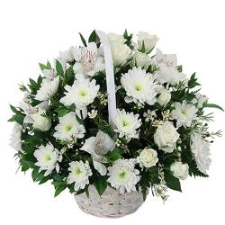 Condolence Flowers - Basket of 25 White Flowers