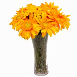 House Warming Gifts for Women - Glass Vase of Ten Yellow Color Gerberas
