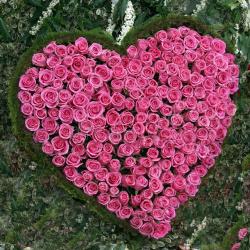 Valentine Heart Shaped Rose Arrangements - An Elegant Pride with Pink Roses