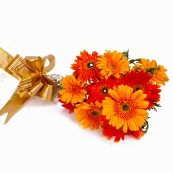 Gifts for Clients - Radiance Shade of 10 Gerberas Bunch