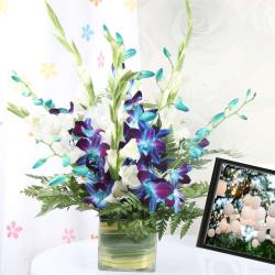 Good Luck Gifts for New Home - Blue and White Orchids in a Glass Vase