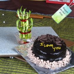 Mothers Day Gifts to Coimbatore - Half Kg Chocolate Cake with Goodluck Bamboo Plant