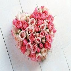 Valentine Day Express Gifts Delivery - 40 Pink Roses Heart Shape Arrangement