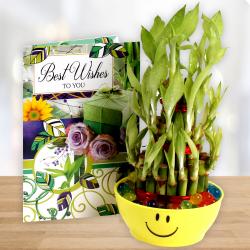 Best Wishes Cakes - Good Luck Bamboo Plant with Best Wishes Greeting Card.