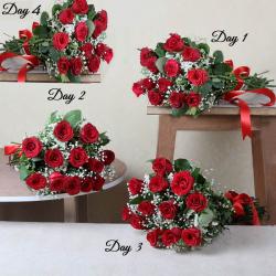 Valentine Serenades Gifts - Four Days Delivery of Valentine Roses