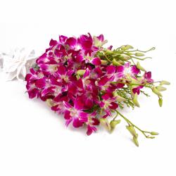 Gifts for Son - Exotic 10 Purple Orchids Hand Tied Bunch