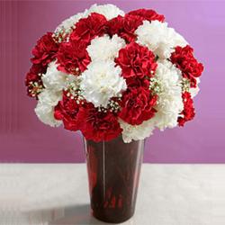 Vase of Red and White Carnations