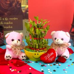 Valentine Lucky Bamboo Plants - Goodluck Bamboo Plant Love Combo