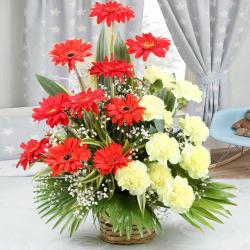 Send Arrangement of Yellow Carnations with Red Gerberas To Calcutta