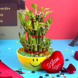 Valentines Heart Shaped Soft Toys - Three Layer Goodluck Bamboo Plant in Smiley Bowl