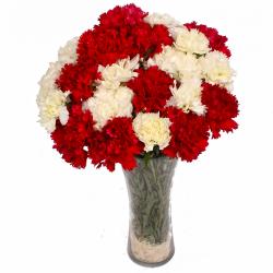 Gifts for Grand Father - Twenty Four Red and White Carnations in Glass Vase